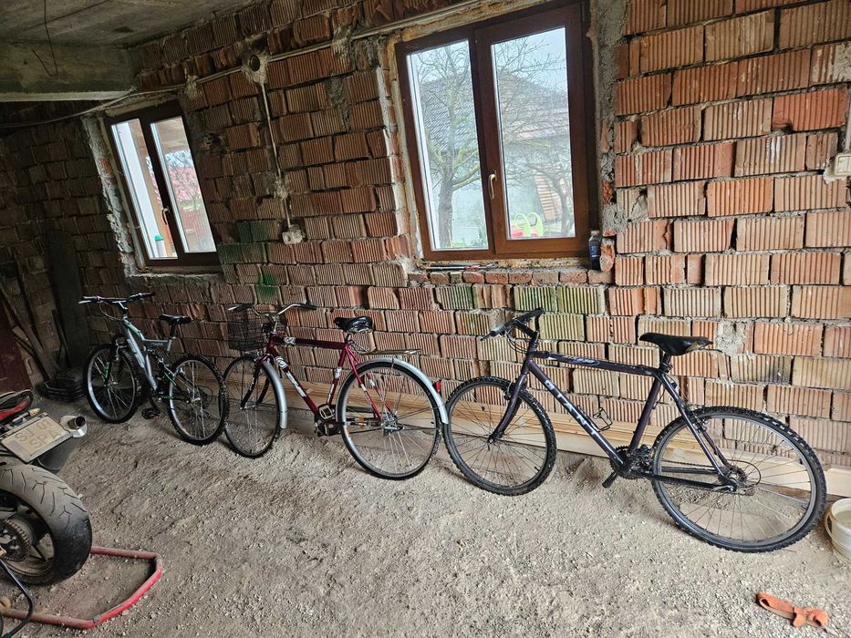 Biciclete  adulti DHS