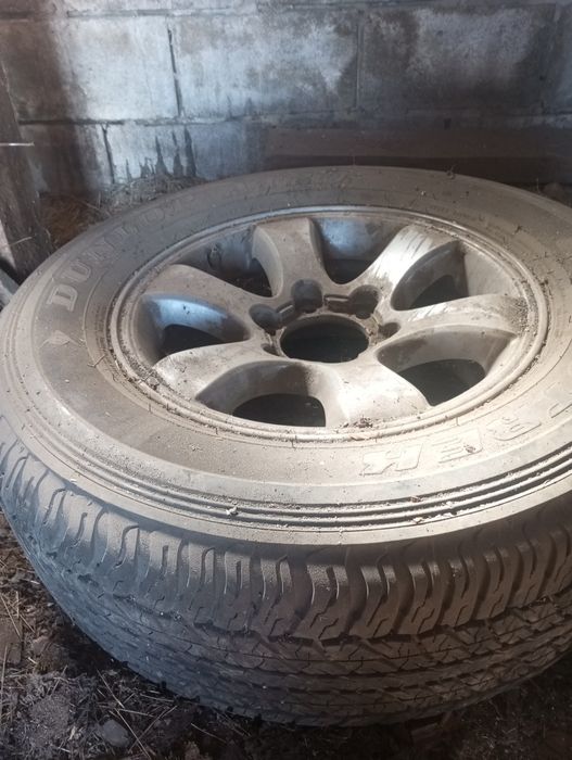 Колесо на прадо.