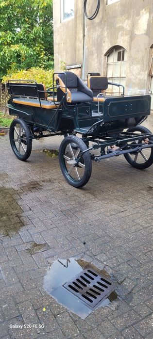 trăsură maraton de 6+2 persoane