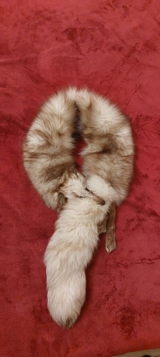 Vând guler vulpe polara