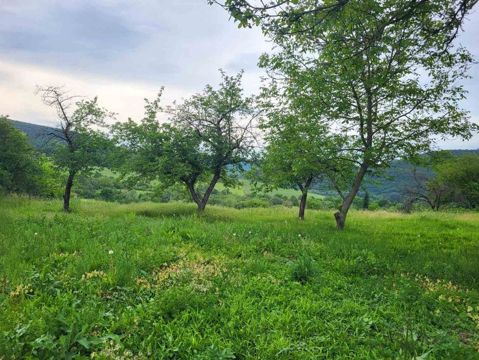 Продава се Къща в Горна Оряховица - 107 кв.м за 420 €/кв.м - Снимка #10