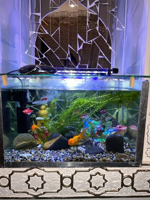 Арзон ва шинам без закс мехмонхона Бухорода факат паспорт билан