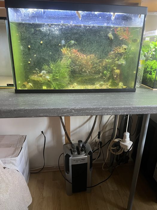 Acvariu Classica Eco 60