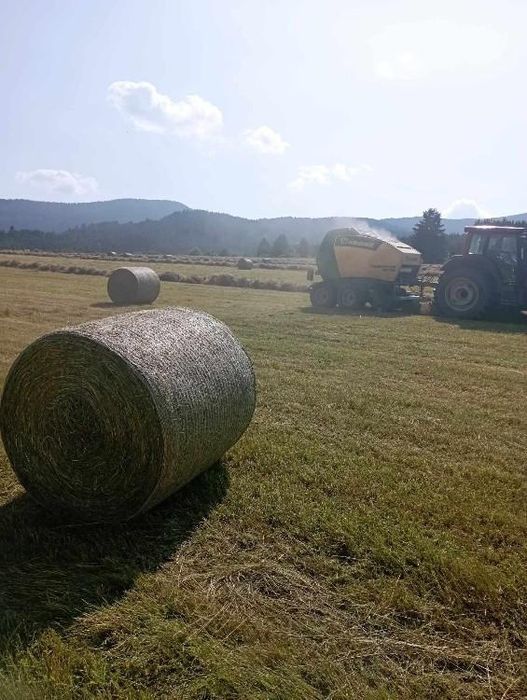 Fân și otava de vânzare