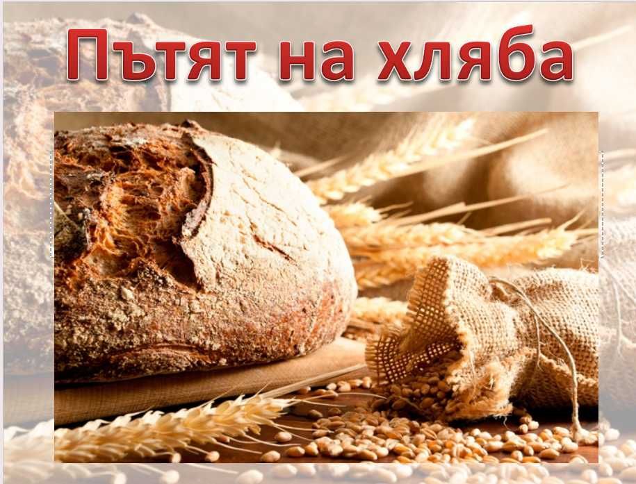 Изработване на  презентации и клипове за училищни проекти