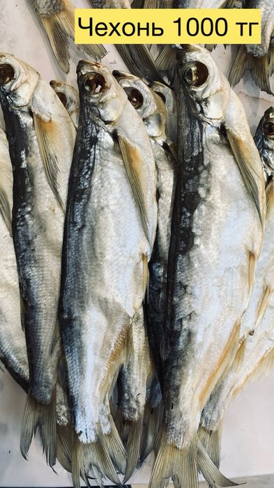 Рыба вчленая, сушеная, домашняя