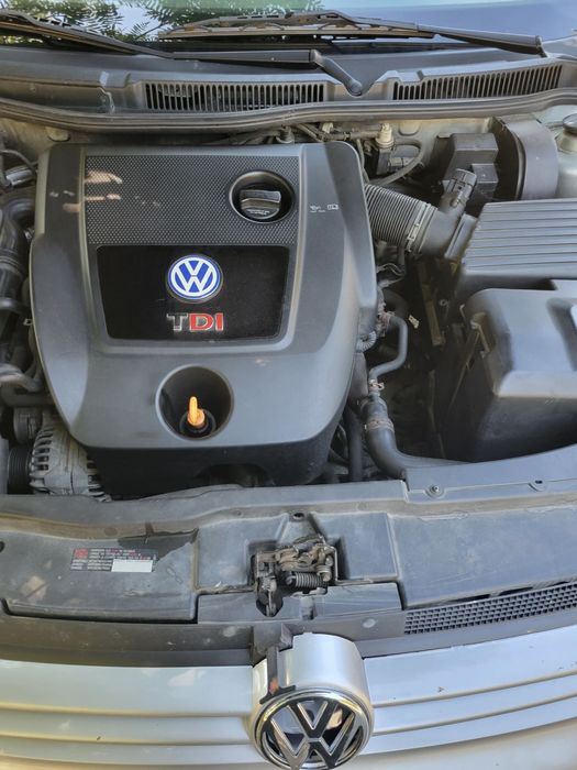 Golf 4 , an 2005