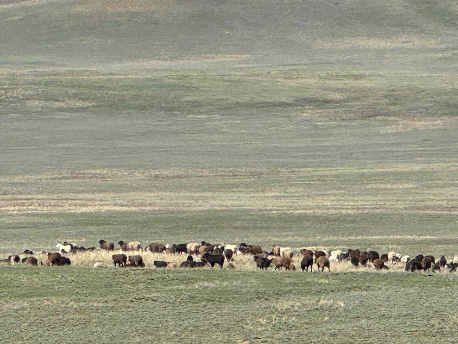 Продается крестьянское хозяйство