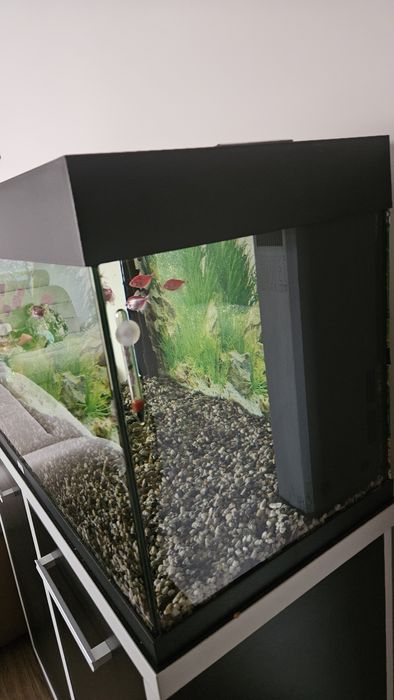 Vind acvariu Juwel rio 180
