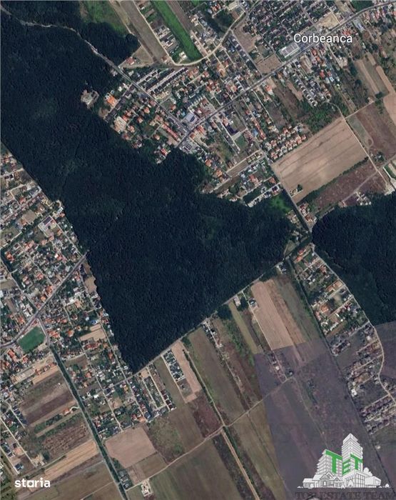 Terenuri Construibile de Vanzare in Corbeanca – Langa Padure | 7 Lotur
