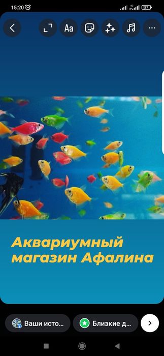 Аквариум100л  . Навои Торайгырова