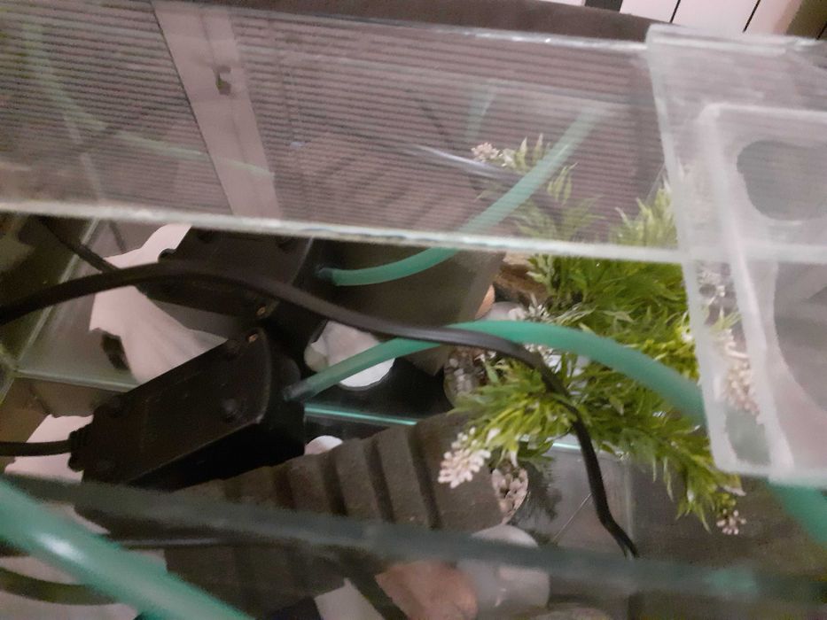 Аквариум за рибки 4 литра и помпичка за въздух гр. София Гео Милев • OLX.bg