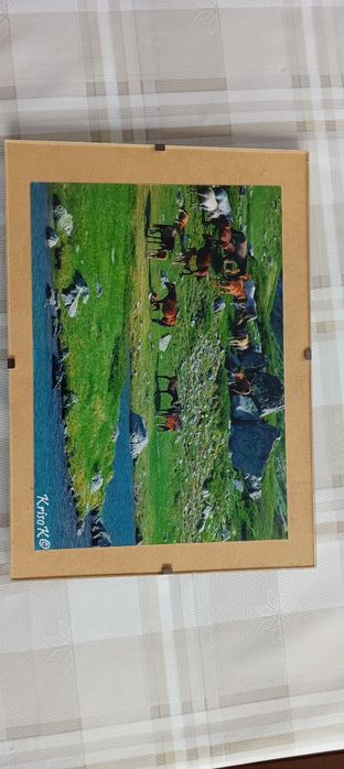 Картини с коне...