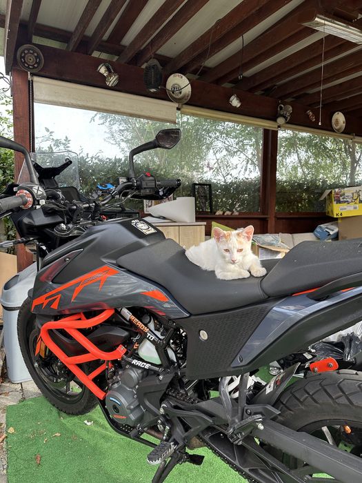 Ktm 390 ADV (mivv delta)