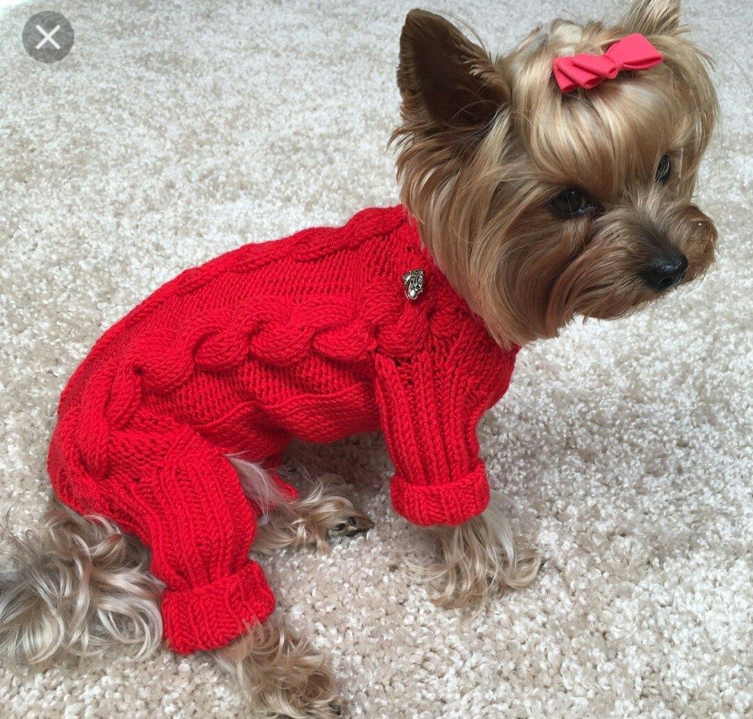 Вязаная Одежда для Маленьких Собак – купить в интернет-магазине OZON по низкой цене