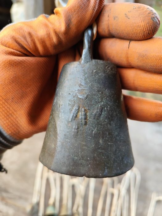 Камбанки и звънец