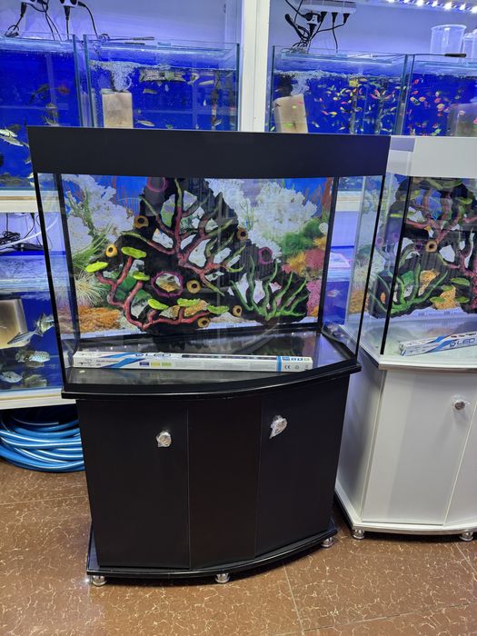 Akvarium 150- litrlik