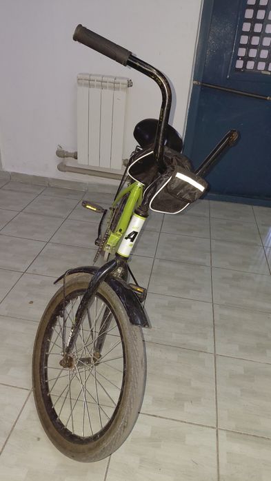 Велик Альтаир зелёный