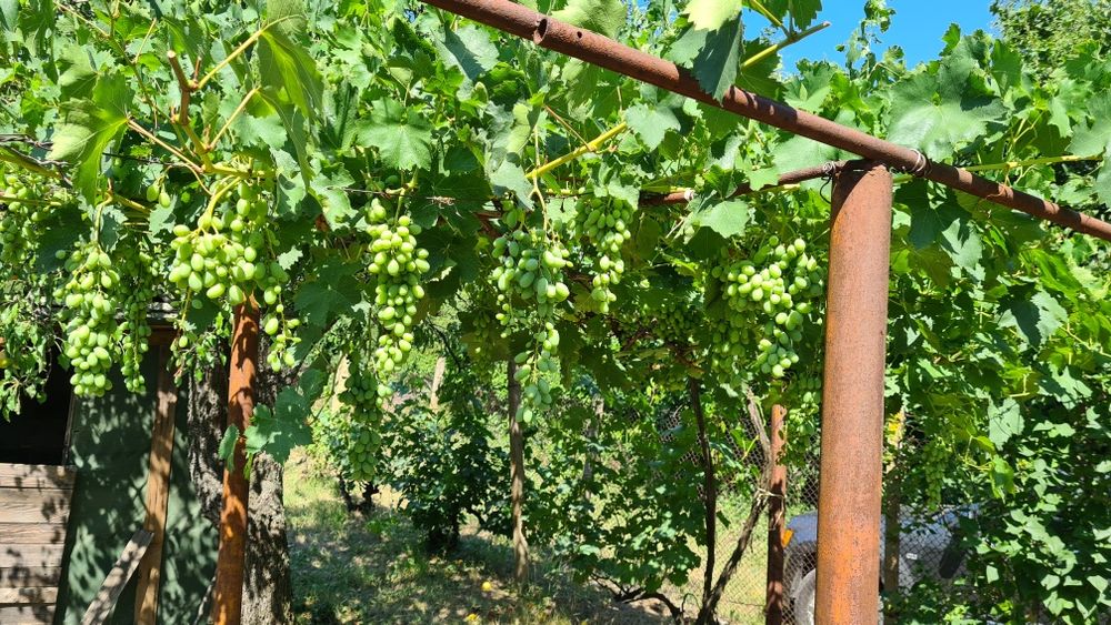 Продава се Къща в Плевен, м-т Стражата - 52 кв.м за 731 €/кв.м - Снимка #11