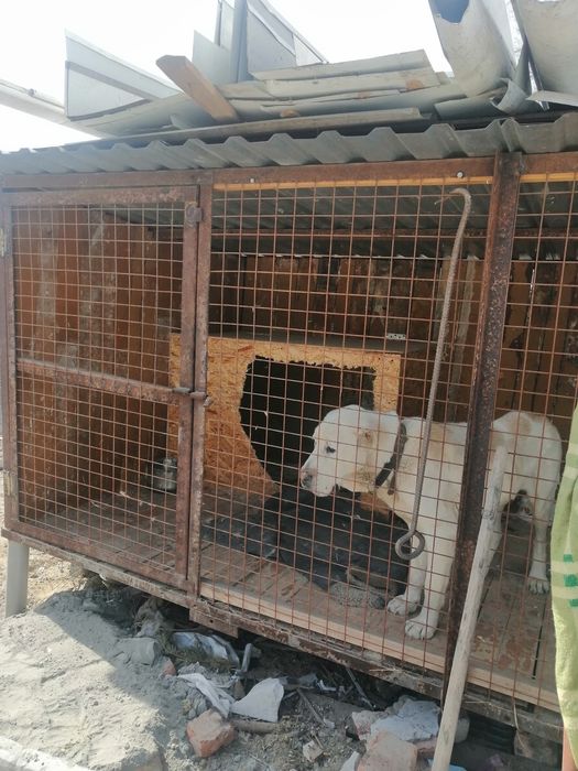 Продам вольер...