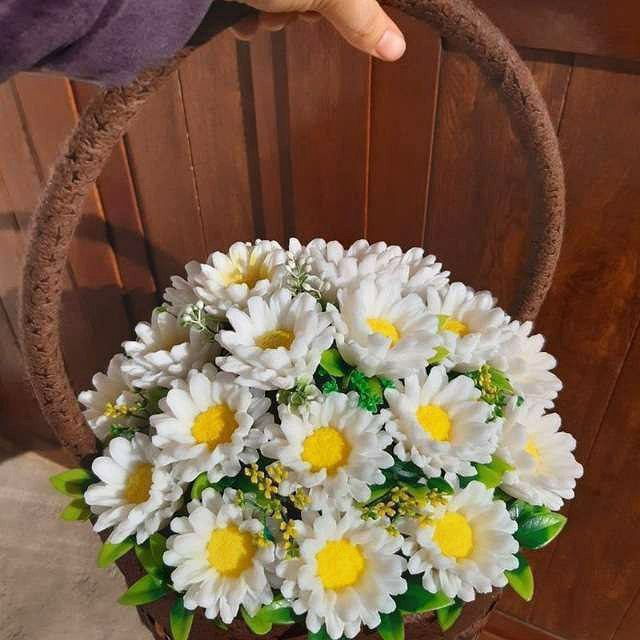 Har hil turdagi sovun va kapalak gullar