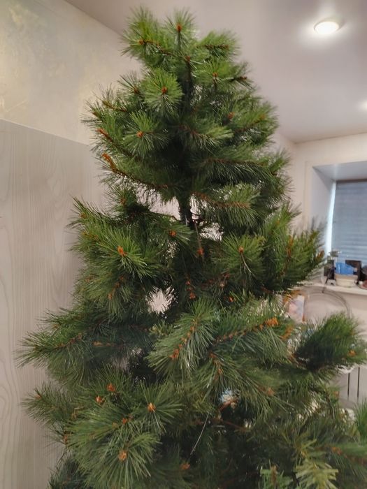 Искусственная ёлка состоит из трёх частей