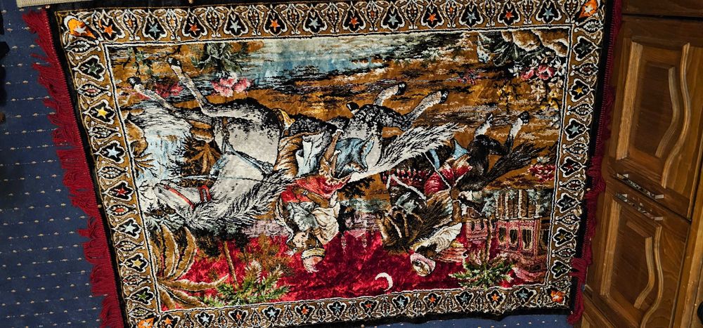 carpeta cu rapiea din serai