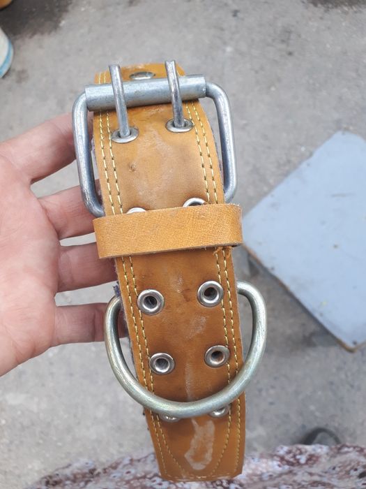 Ошейник для собаки