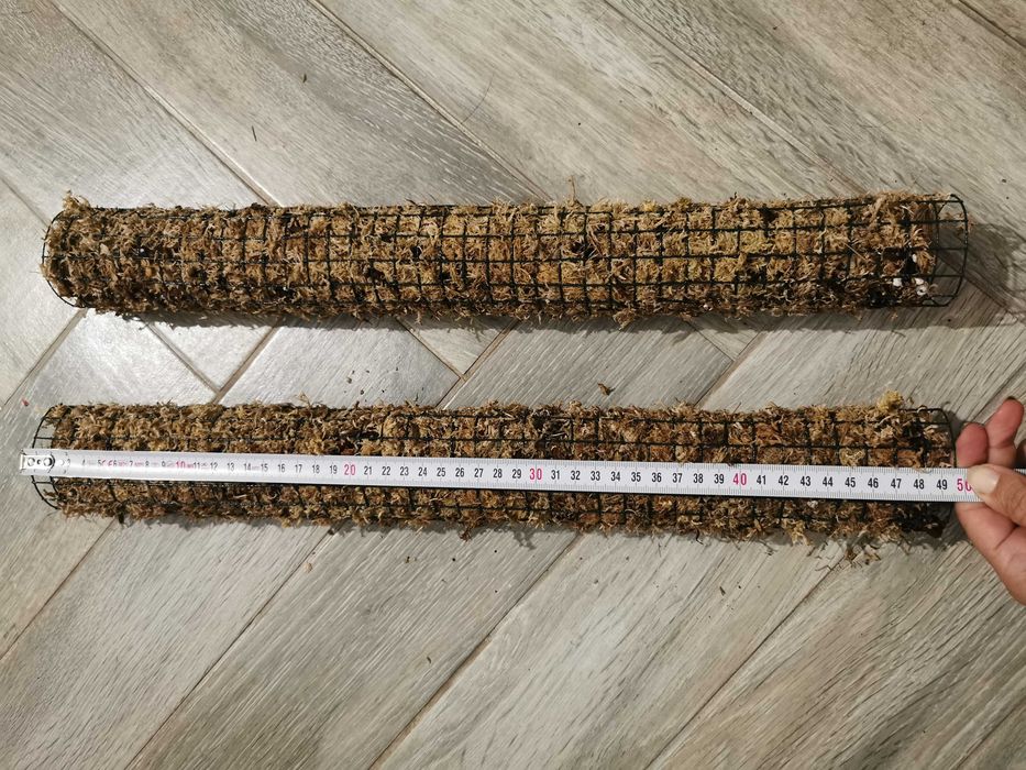Mosspole 50cm - umpluti cu sphagnum si mix aroide