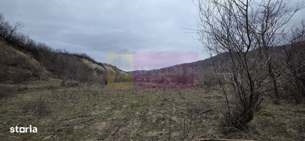 Teren de vanzare in Brebu - Raul Doftana