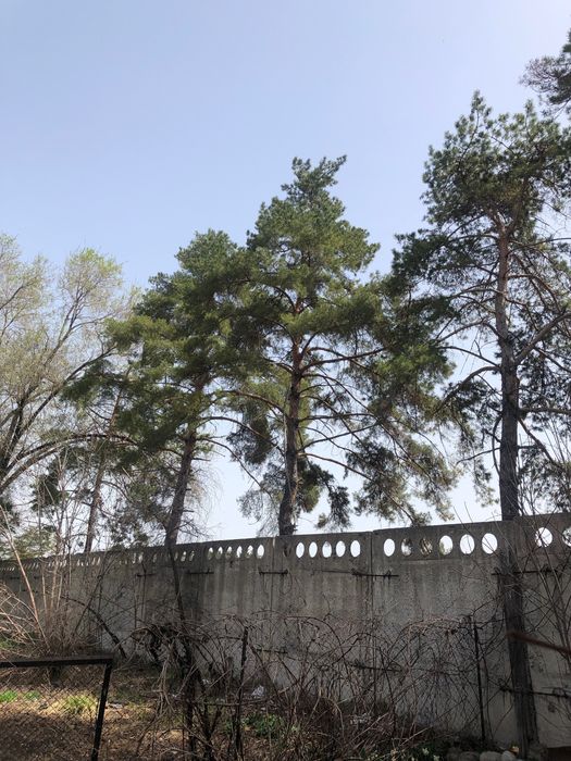 Продам дом в поселке Панфилова