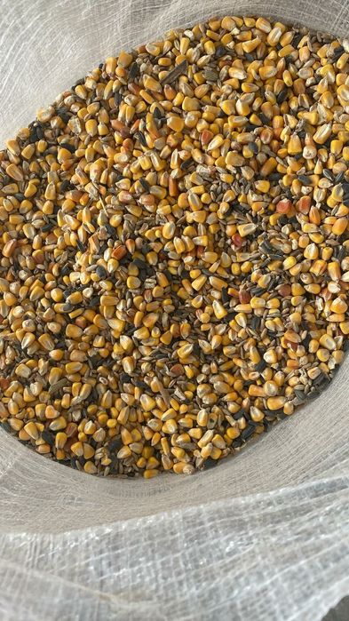 Vând cereale ,preț foarte bun