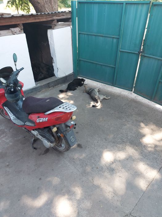 Мопед 150 кубов есть запчасти на ремонт