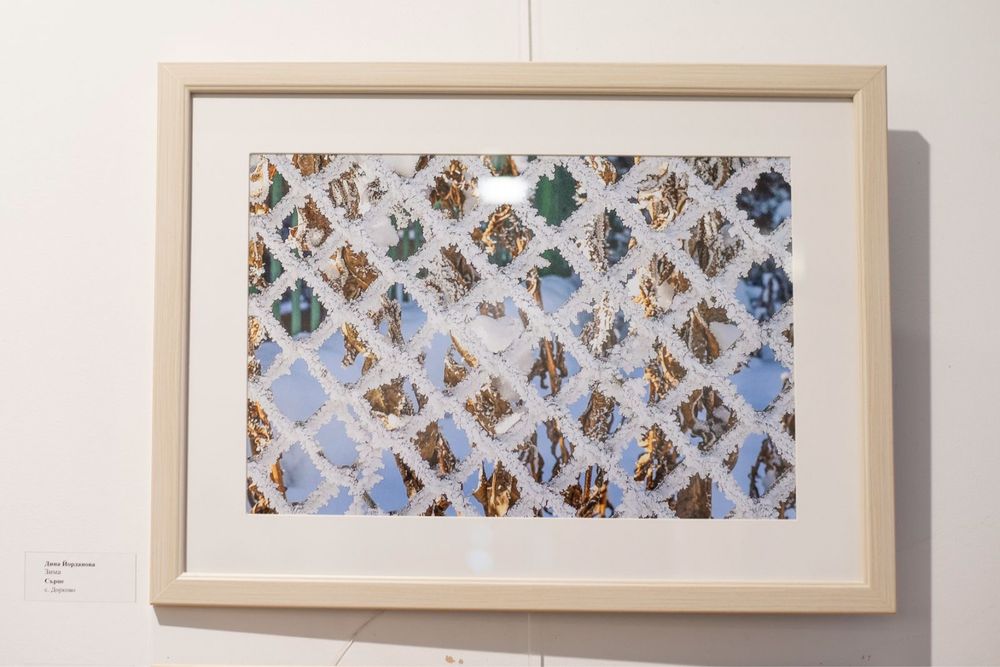 Професионално заснети картини в рамка - идеални за дома и офиса