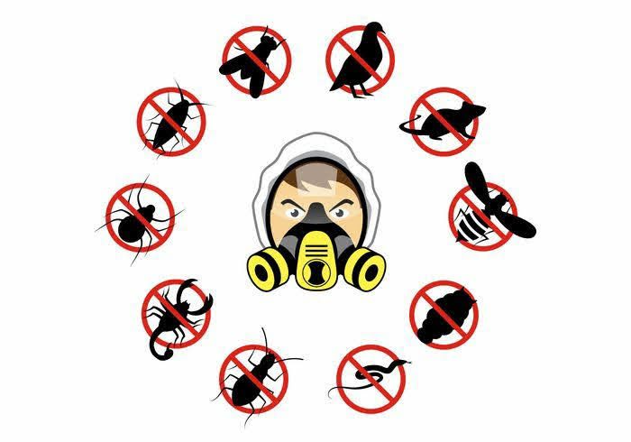 дезинфекция дезинсекция дератизация 24/7