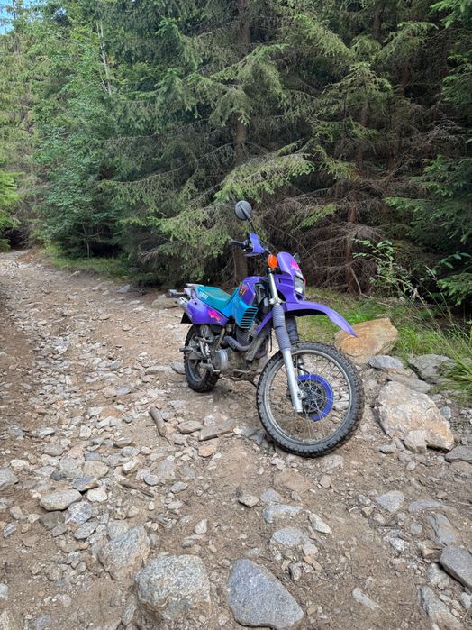 Yamaha XT 600 e, Enduro, Motor de teren fiabil