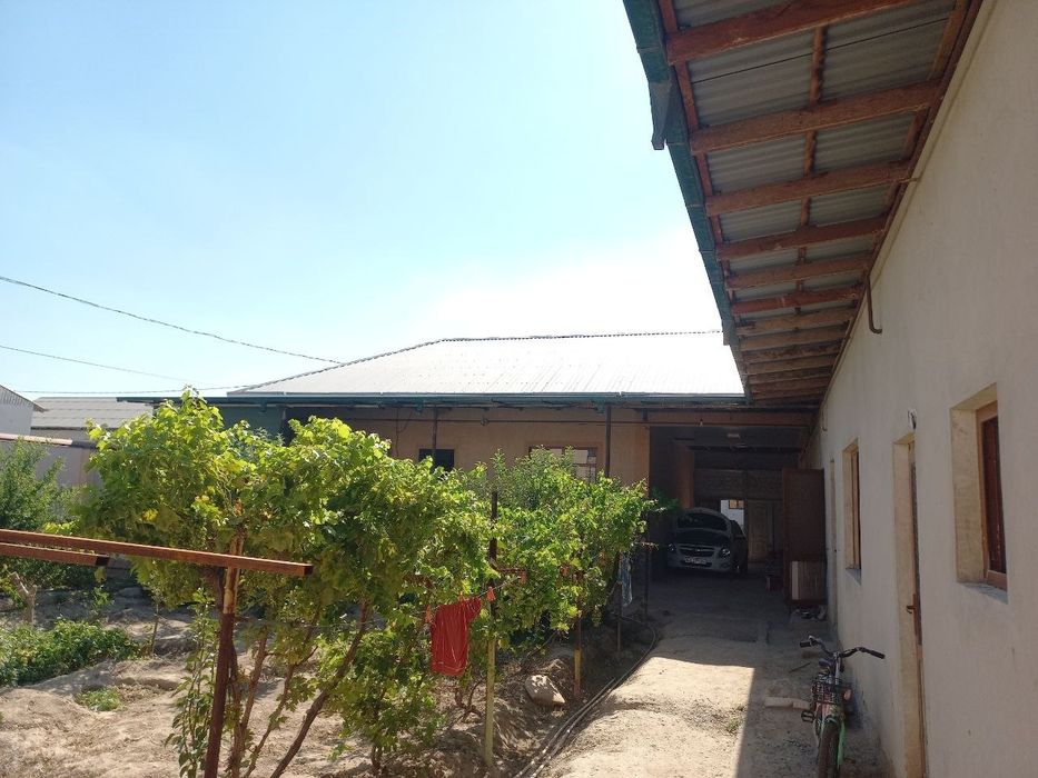 Hovli sotiladi 6 sotix