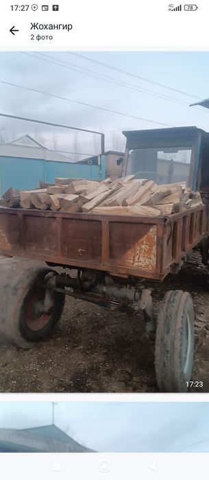 Утин бор енгок утини