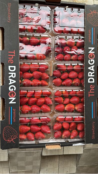 Клубника Египет