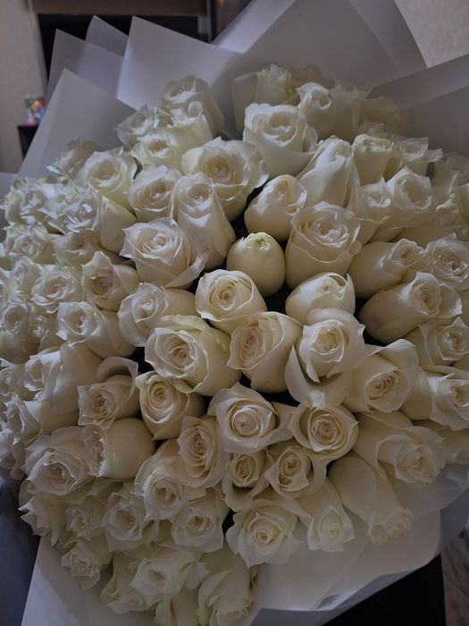 101 белая роза новые