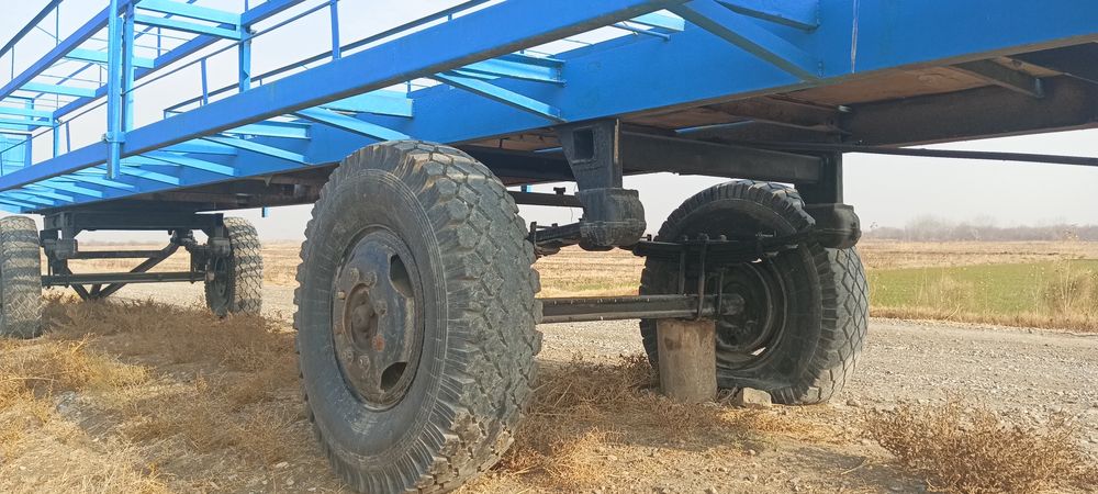 Asalari pavilon sotiladi