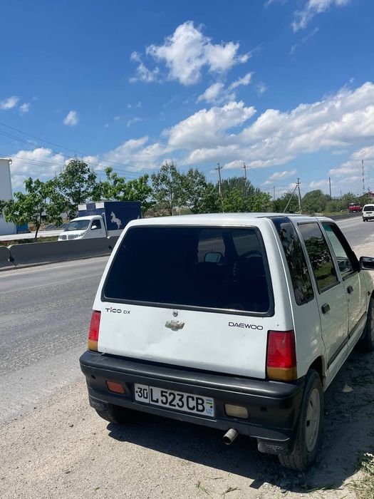 Xolati urta yurptrpti