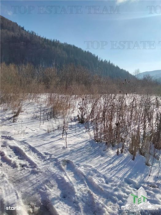 Teren Intravilan Sinaia 2255 mp