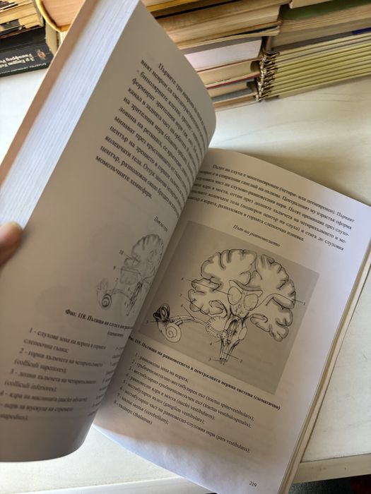Анатомия на човека | Втора част | Вътрешни органи, сърдечносъдова система, нервна система