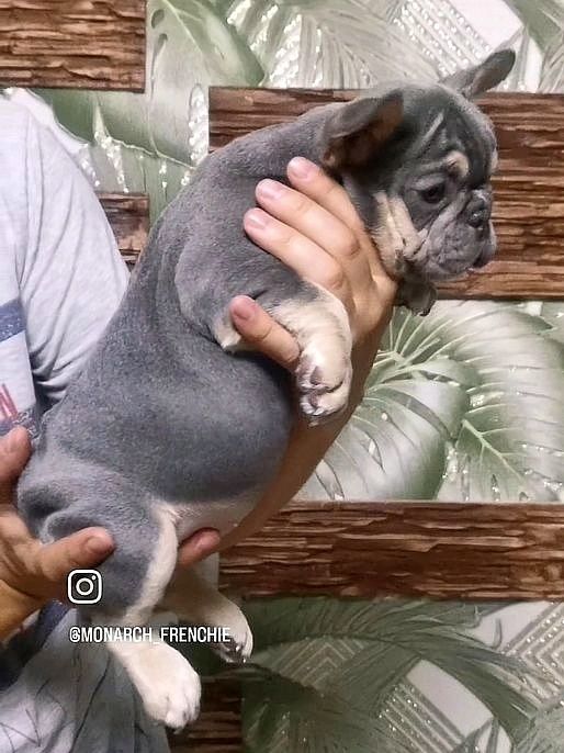 Очаровательная девочка