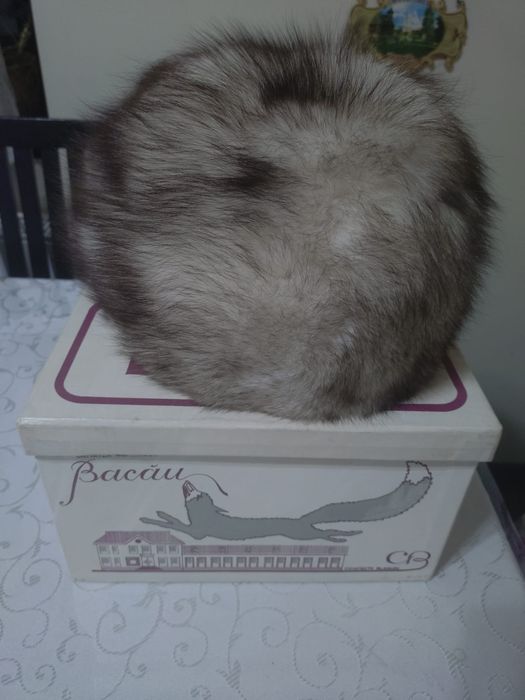 Caciula de vulpe argintie