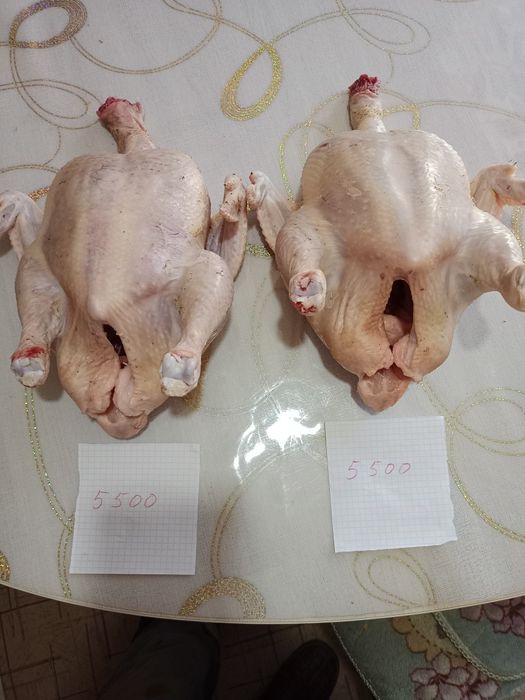 Мясо молодых бройлеров
