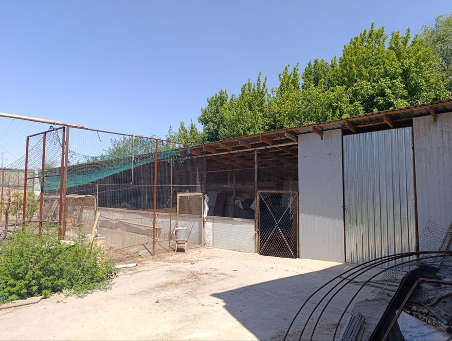 Здравствуйте срочно продаю участок