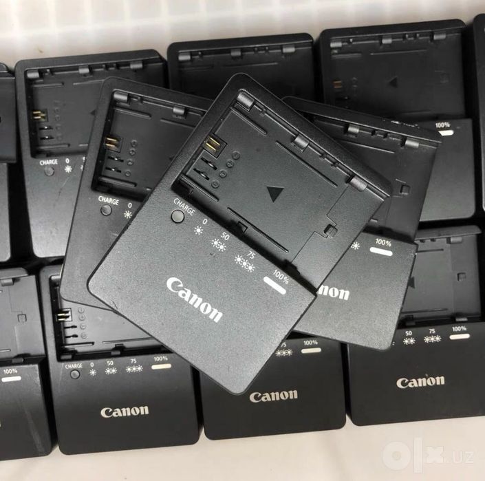 Canon E6 original zaryadchik