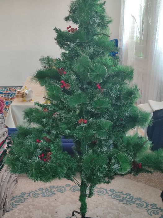 Шырша жаңажылдық